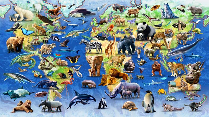 Экология млекопитающих