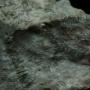 Друза кристаллов с баритом и пиритом Белореченское месторождение