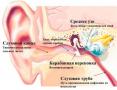 Отит среднего уха воспаление
